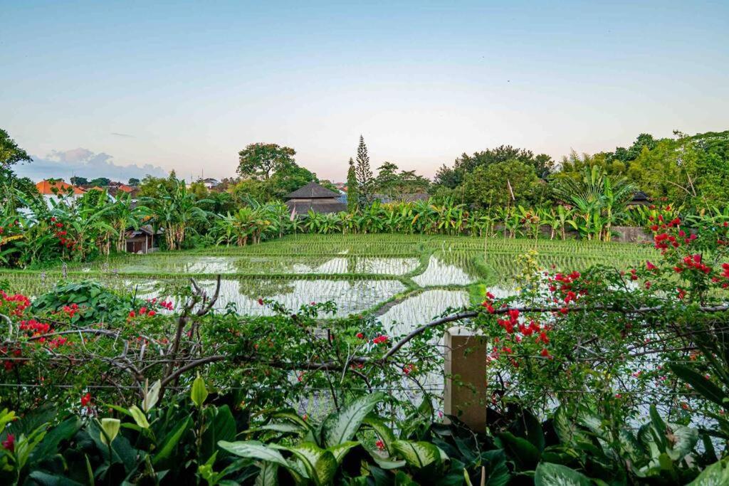Villa Mimpi Nyata Canggu Buitenkant foto