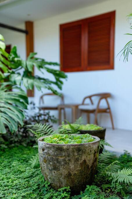 Villa Mimpi Nyata Canggu Buitenkant foto