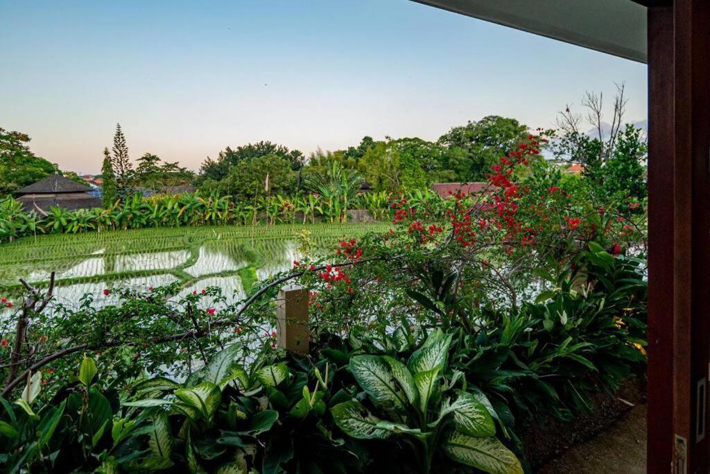 Villa Mimpi Nyata Canggu Buitenkant foto